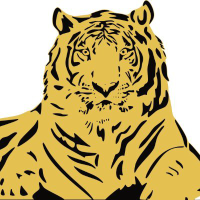 Logo da Panthera Resources (PAT).