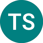 Logo da Test Stocks (TES1).