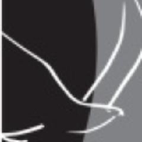 Logo da Eagle Graphite (CE) (APMFF).