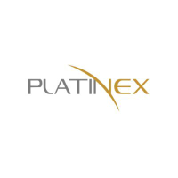Logo da PTX Metals (QB) (PANXF).