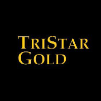 Logo da TriStar Gold (QB) (TSGZF).