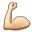 muscle