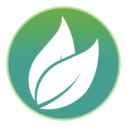 Logo da Integrated Green Energy ... (IGE).