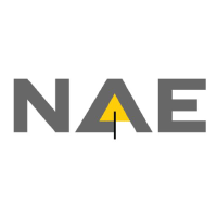 Logo da New Age Exploration (NAE).