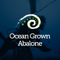 Logo da Ocean Grown Abalone (OGA).