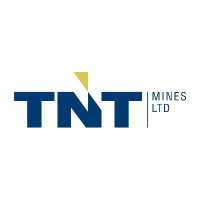 Logo da TNT Mines (TIN).