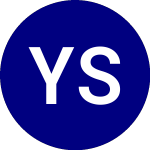 Logo da Yieldmax Snow Option Inc... (SNOY).