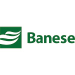 Logo para BANESE PN
