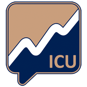 Logo da ICY (ICUSDT).