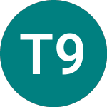 Logo da Transnet 9.5% A (81SV).