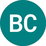 Logo da Baltic Classifieds (BCG).