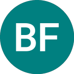 Logo da Bright Futures (BRF).