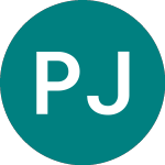 Logo da Perpetual Japanese (PJI).