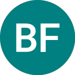 Logo da Bos Fund 29 (PL63).