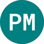 Logo da Plus Markets Group (PMK).