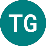 Logo da Tcepetf G Eur (TCED).