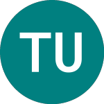 Logo da Tinf Us (usd) (TINF).