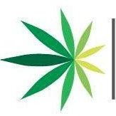 Logo para American Cannabis (QB)