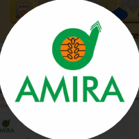 Logo da Amira Nature Foods (CE) (ANFIF).