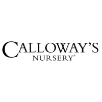 Logo da Calloways Nursery (PK) (CLWY).