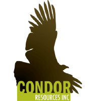 Logo da Condor Res (PK) (CNRIF).