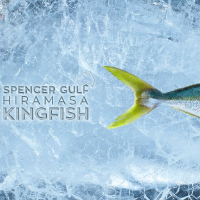 Logo da Clean Seas Seafood (PK) (CTUNF).