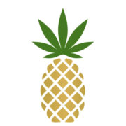 Logo da Pineapple (PK) (PNPL).