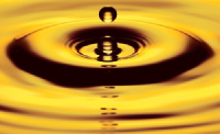 Logo da Precipitate Gold (QB) (PREIF).