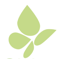 Logo da Pieridae Energy (PK) (PTOAF).