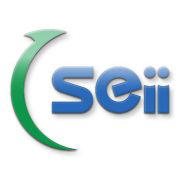 Logo da Sharing Economy (CE) (SEII).