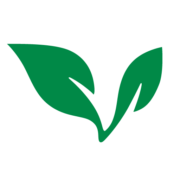 Logo da MedBright AI Investments (QB) (VNNYF).