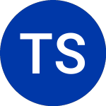 Logo da Tele Sudeste Cel (TSD).