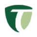 Logo da Trean Insurance (TIG).